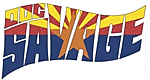 Arizona Fans of Bronze